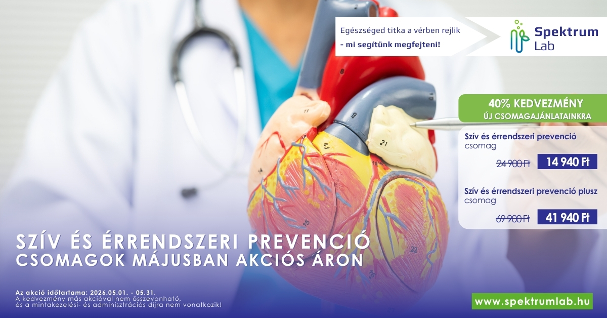 SL_sziv_es_errendszer_FB